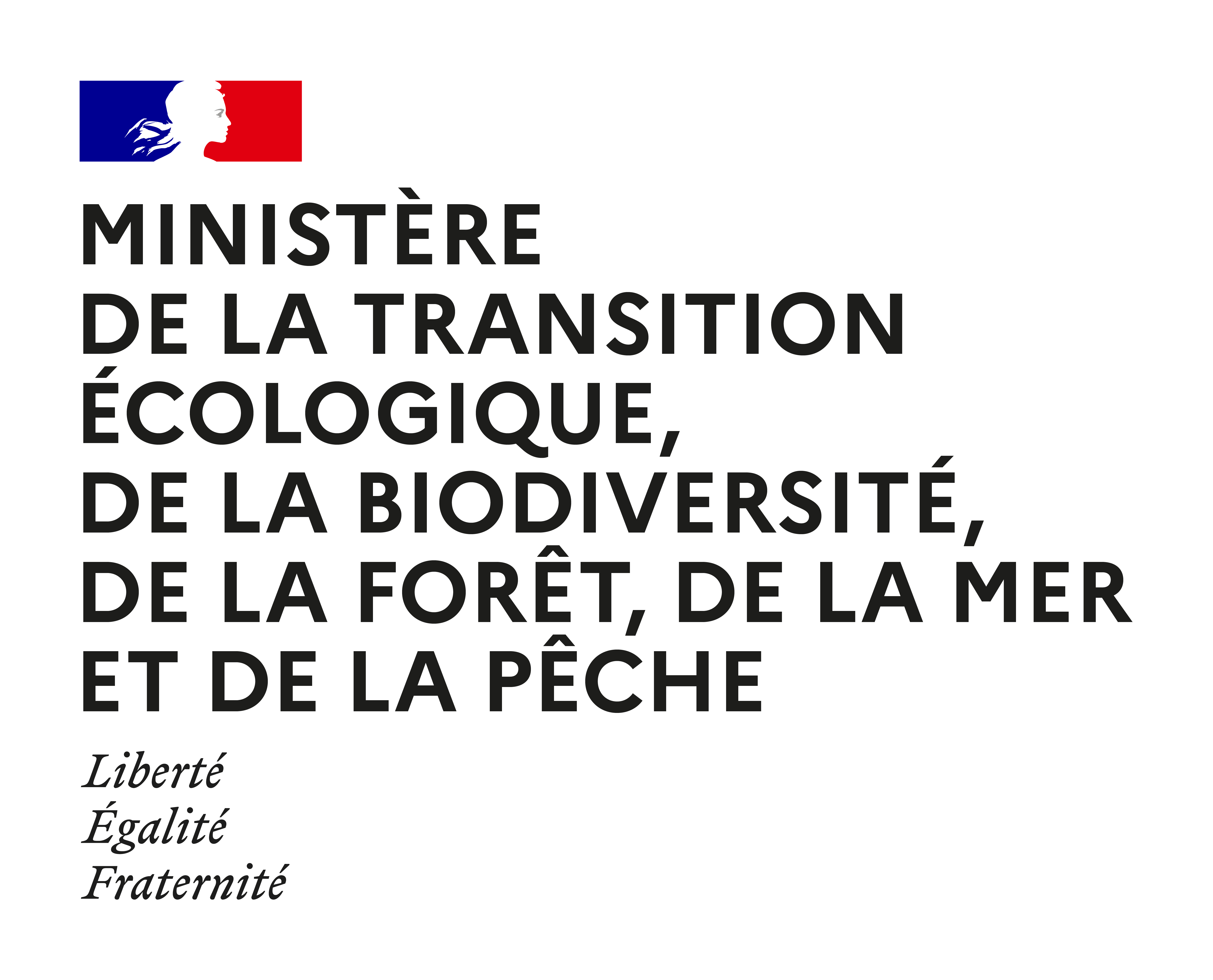 MIN_TEBFMP-RVB