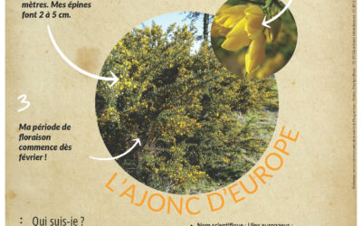 Avis de recherche n°2