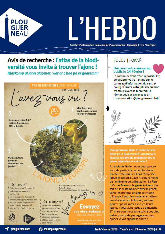 Capture d'écran 2026-02-04 133824