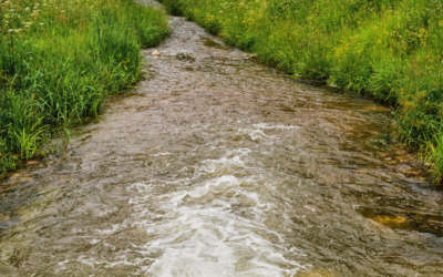 Cours d’eau et berges privées, qui doit les entretenir ?